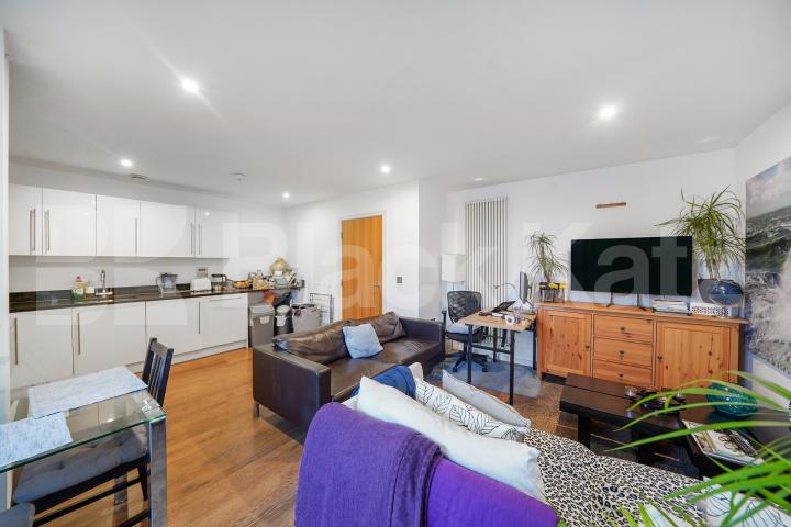 Flooded with natural light,south facing & dual aspect  Boulevard Mansions.Borough Road, Borough